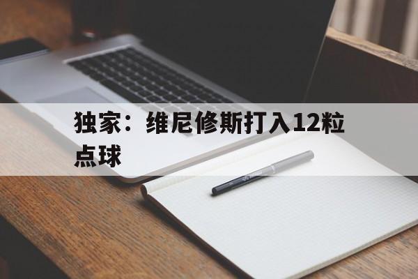 独家：维尼修斯打入12粒点球的简单介绍|FB体育平台
